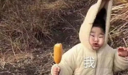 沙雕吃瓜爆料视频下载,一场网络爆料的狂欢盛宴