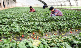 永年产业城吃瓜视频爆料,背后惊人真相曝光