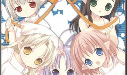 哪个动漫,忍者世界的传奇